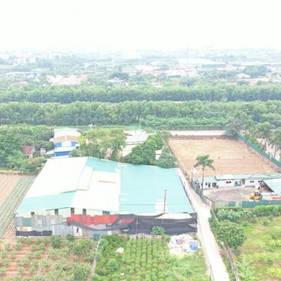 Hoài Đức (Hà Nội): Tràn lan nhà xưởng mọc trái phép trên đất nông nghiệp tại xã Song Phương