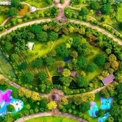 Thiên nhiên quan trọng thế nào trong đời sống đô thị