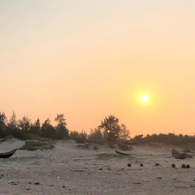 Việt Nam lần đầu làm lễ hội hoa quốc tế với tổng kinh phí 122 triệu Euro