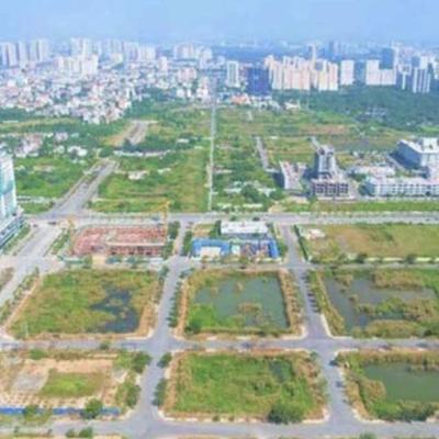 Chiều nay, Phó Thủ tướng họp với Bộ Nông nghiệp và Môi trường, Bộ Công an, Thanh tra Chính phủ... về 2 nội dung quan trọng liên quan đến đất đai