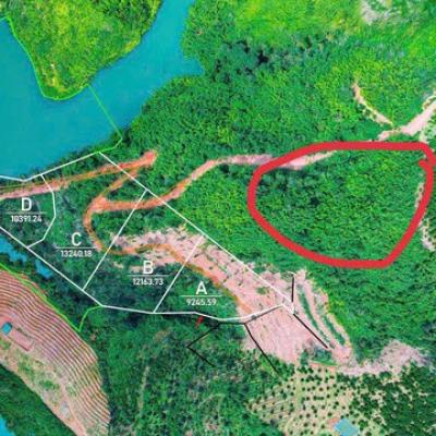 TIN VUI CHO NGƯỜI MUA "ĐẤT GIẤY TAY" TRƯỚC 2024