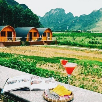 SAU THỜI 'BỎ PHỐ VỀ RỪNG', ĐẤT TRANG TRẠI GIẢM GIÁ VẪN KHÓ TÌM KHÁCH