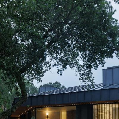 NHÀ 1.200 M2 ẨN MÌNH DƯỚI TÁN CÂY HOÀN THIỆN TRONG 8 NĂM